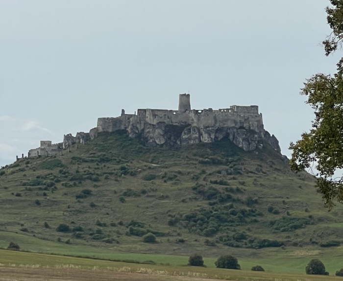 25cf961e-1f6e-4fa5-b23f-ad9966656ff7