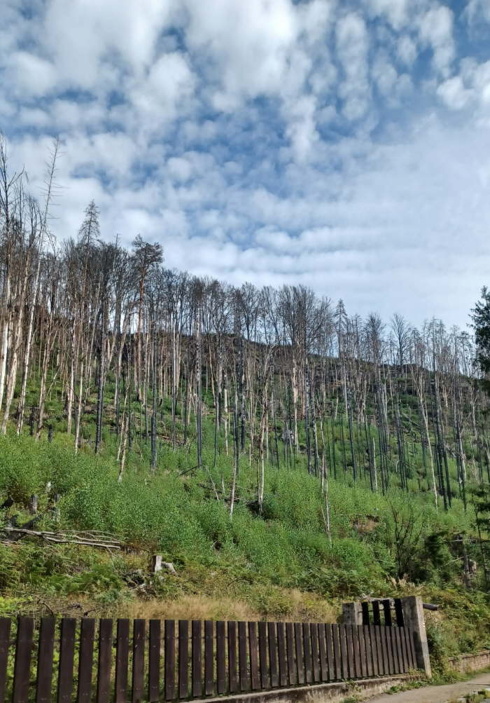 28457d87-6904-4a04-a775-c8b54c095436