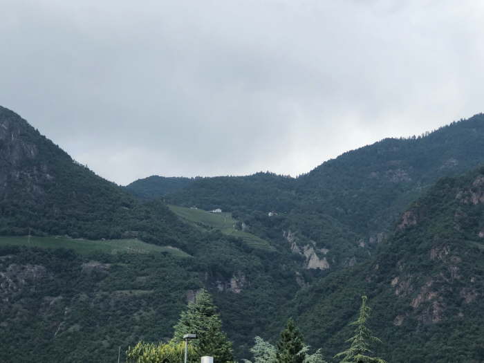 2861bc4a-743d-441a-a4d1-4a8f2a659939