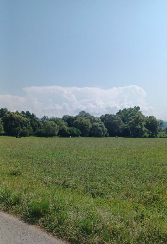 2b2ef256-0f53-4fa4-bd4d-aadab64de7ef