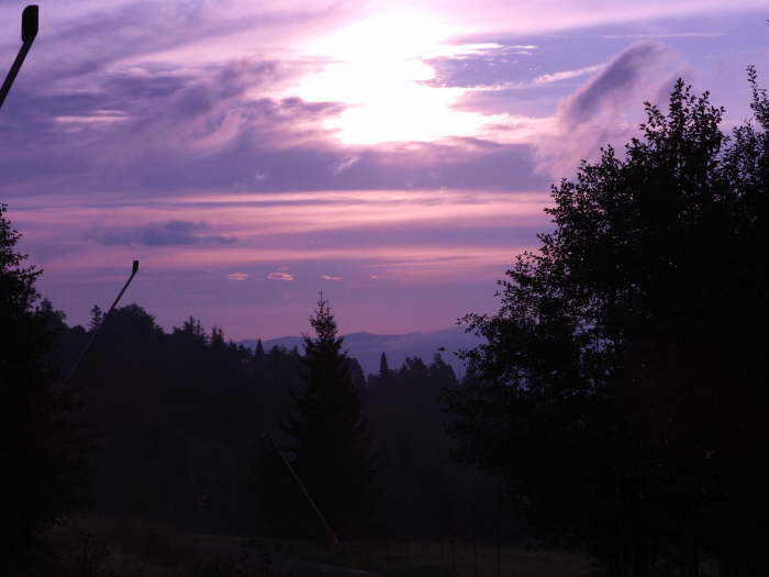 2f382610-463d-46f1-a66d-e7689e20bfdc