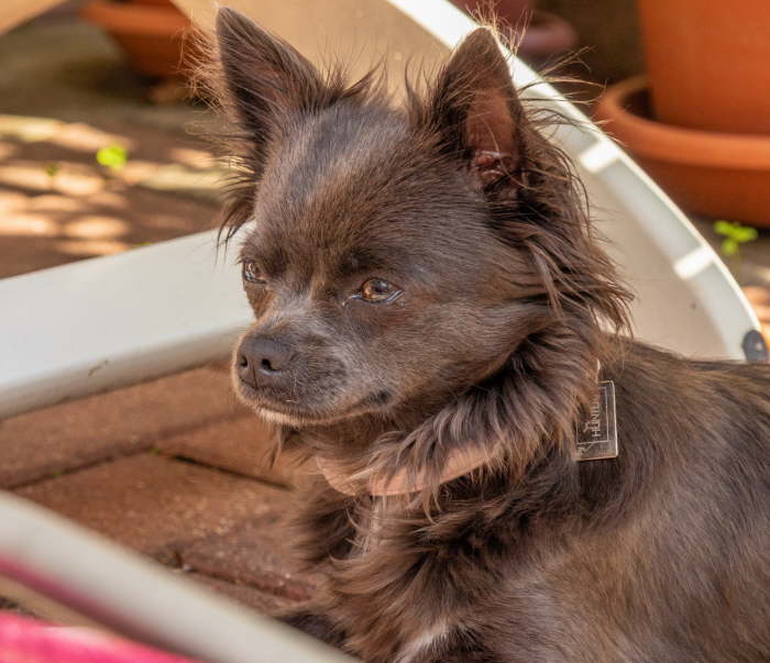 3bcdeb9e-fdda-40fb-ae48-cab0c4878308