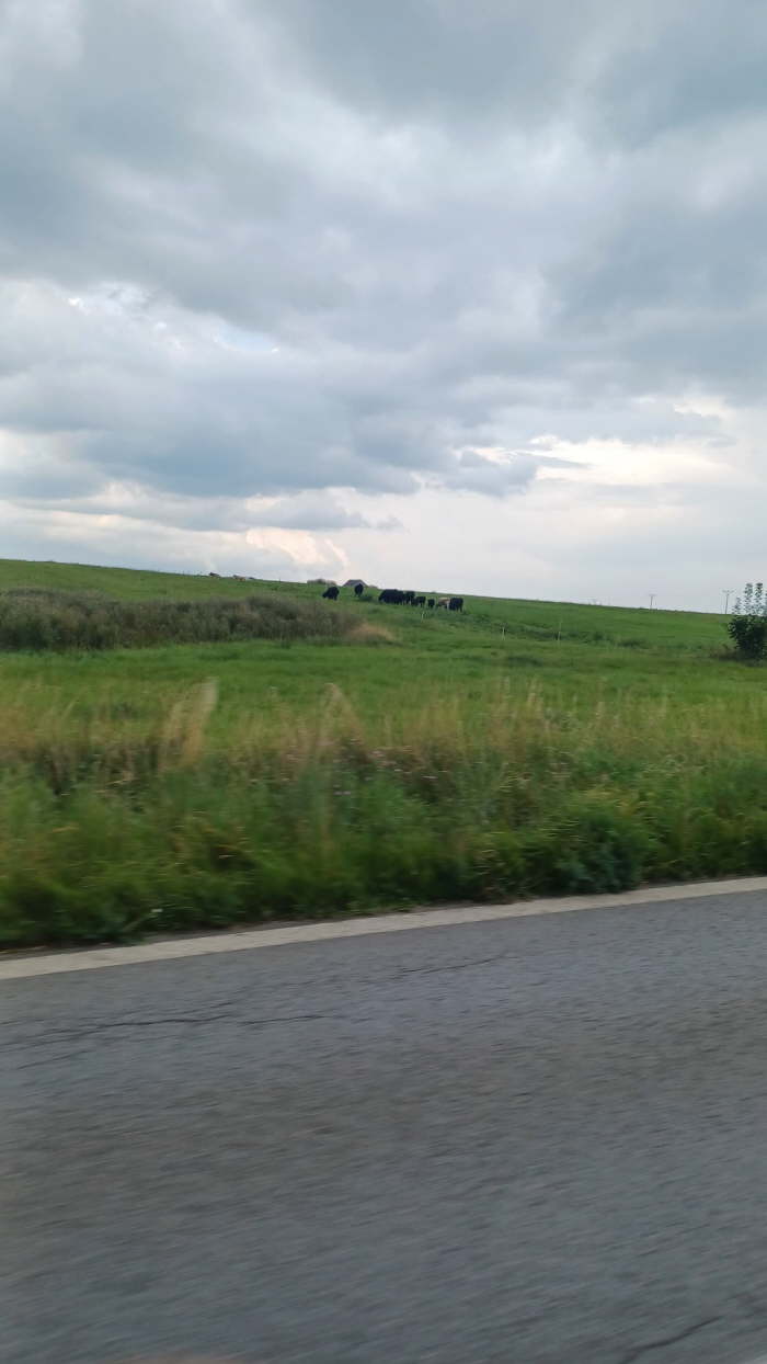 435dc804-cd7d-4f6e-92cc-0a67fba1664c