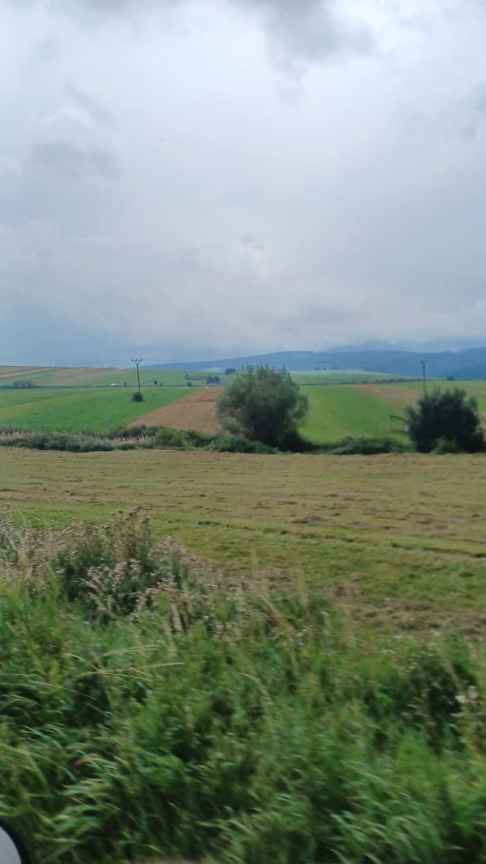 5de18e36-709b-4ecf-9c4b-45cf6a51cc26