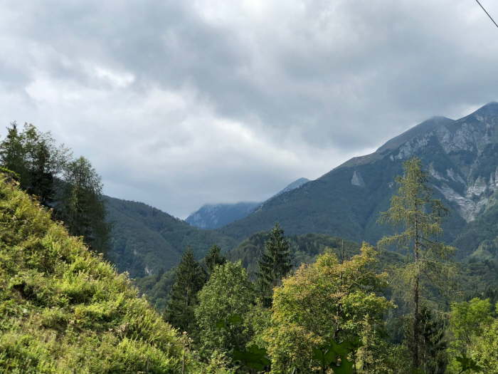 605bad31-a6df-4163-9233-f49733e18712