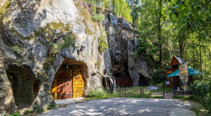 60656ccc-624a-4f56-ba86-3c9686cacddc