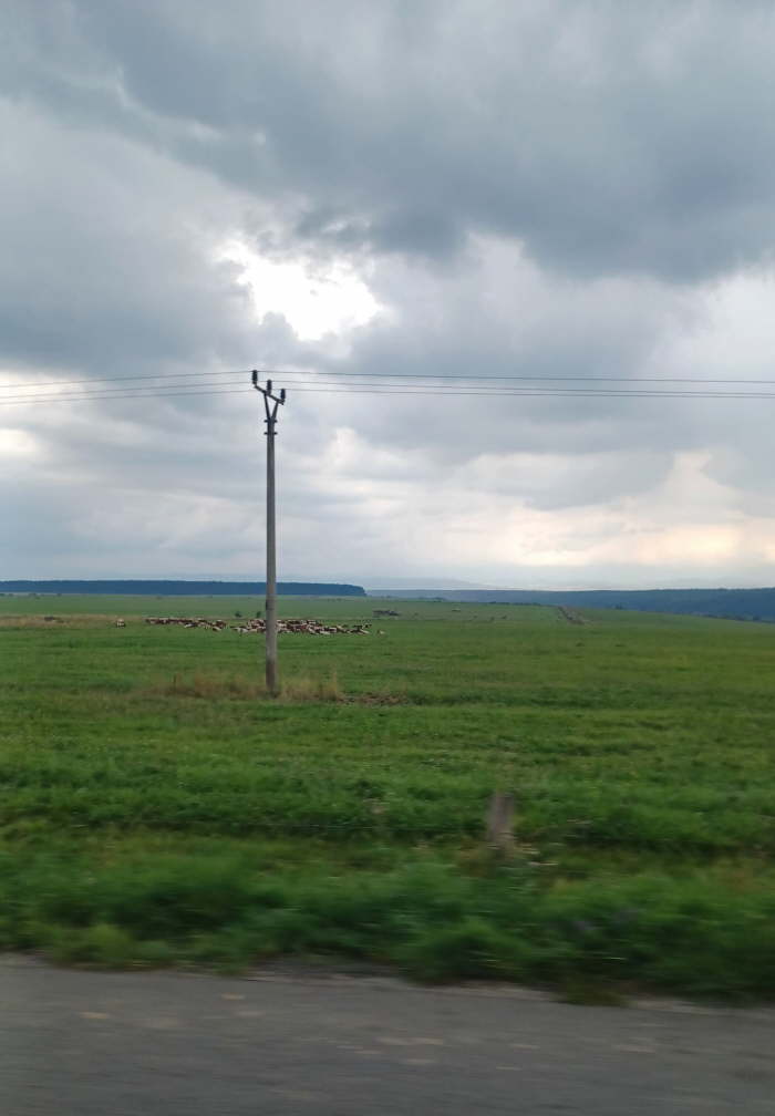 6b314d1c-9677-486a-ae66-a4d171ba9b4b