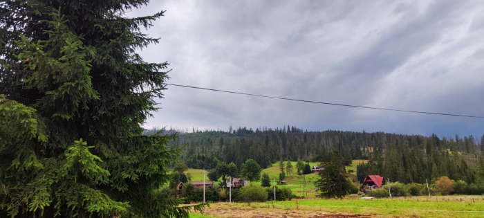 6de21c9f-4a52-4011-8d4a-21321bcfdbf0