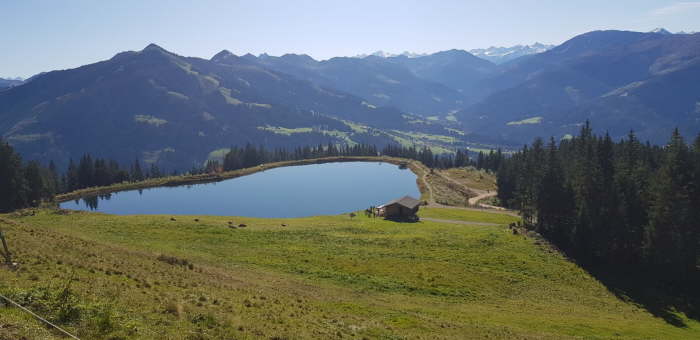 7350f6c7-66c5-47f8-9bb6-6b76ade464d2