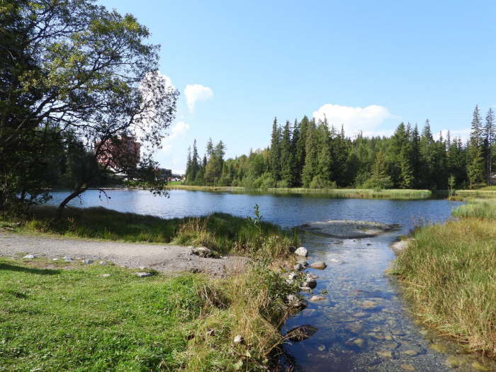 7e62873e-56eb-4c17-99f5-709053c34de4