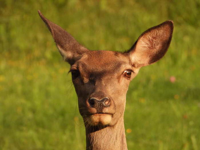 874a124f-e803-43ee-aba7-3059d425f7de