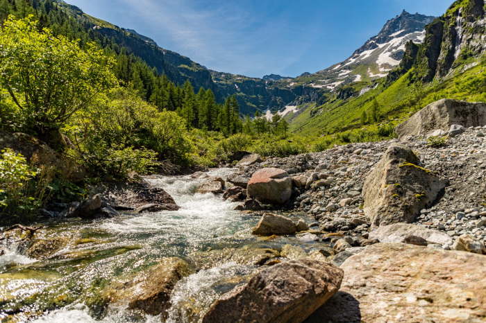 8fc5839b-7206-4171-8b26-8f108976e3d0