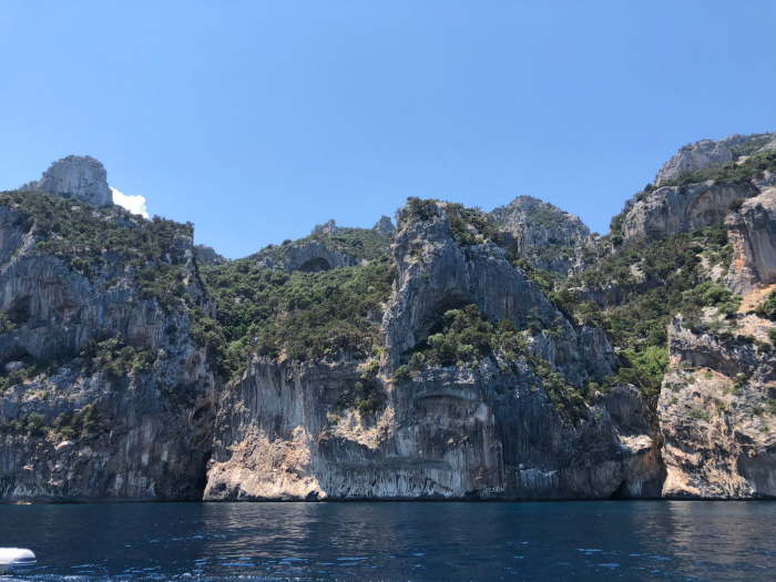 911c2fbf-a624-463f-bfa9-3387f4f1034b