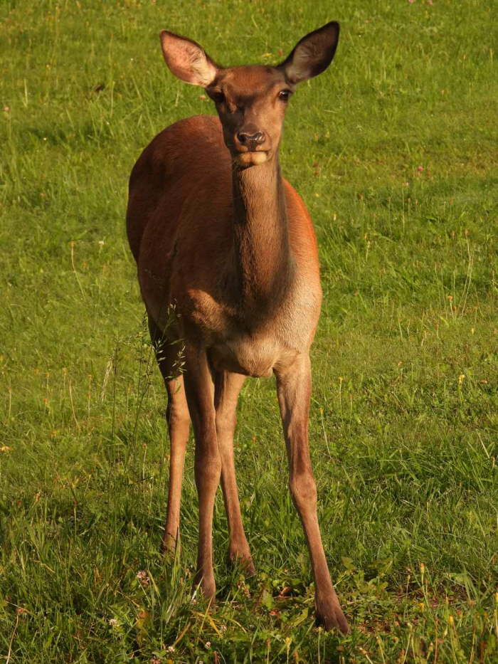 912d3ac2-8398-4b59-b3f7-7ccdcf2b1376