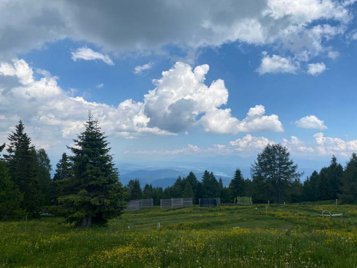 961e3764-3549-400f-a8aa-53efece0a38c