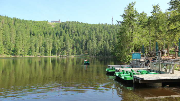 Schwarzwald_2021_06_19_0033