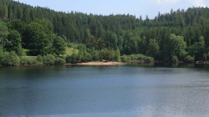 Schwarzwald_2021_06_19_0038