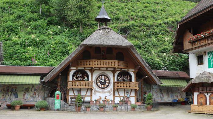 Schwarzwald_2021_06_19_0081