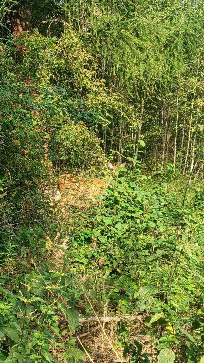 c6167b0f-b5b3-41b2-bc97-0aa3e4b13920