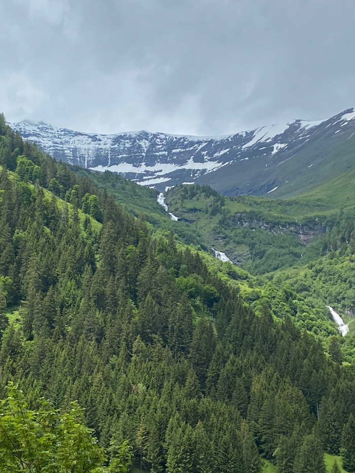 ca13119e-c833-4b72-b098-091e72986fb1-1