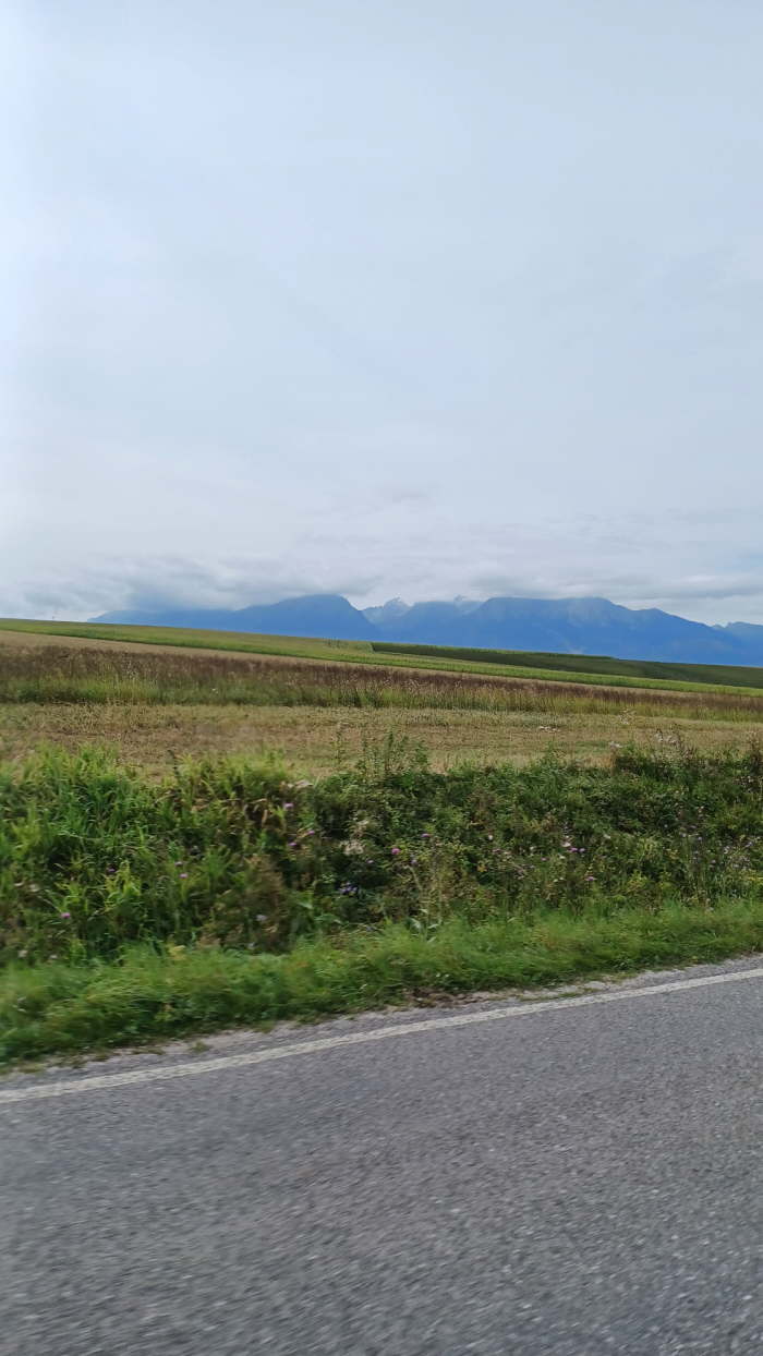 ccaf4110-7264-4cb6-8ef4-308423e5c865