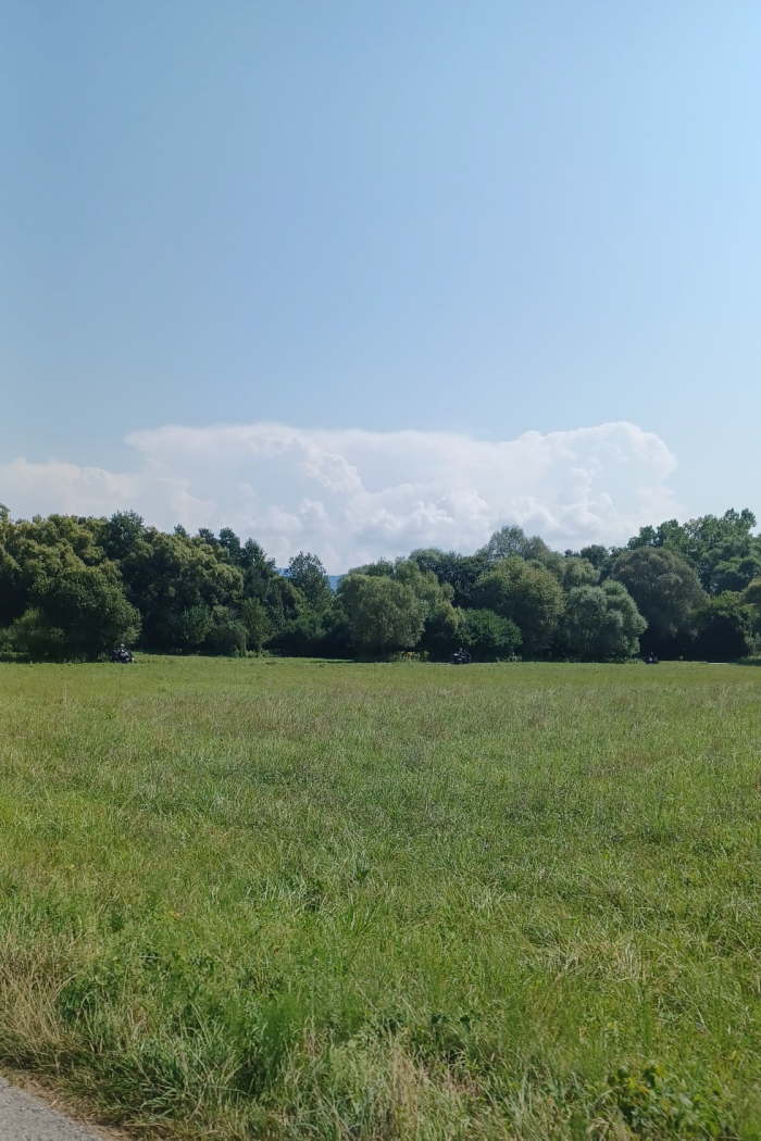 ce1a02a2-a9ff-431b-82c0-7313c18faca7