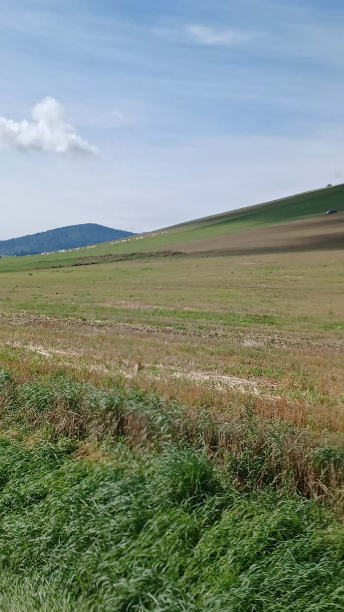 cf41c524-2723-4f43-a54d-3d2c27c58bd9-1