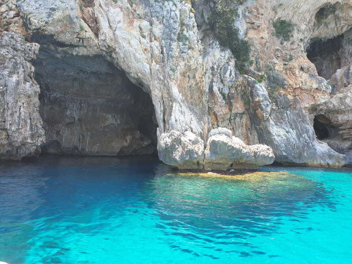 da63a0c1-4f24-4a55-824c-2f8b7db547f7