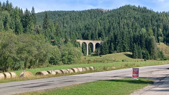 e3adea1b-1c8c-4d9b-8cce-e5c71bfce11a