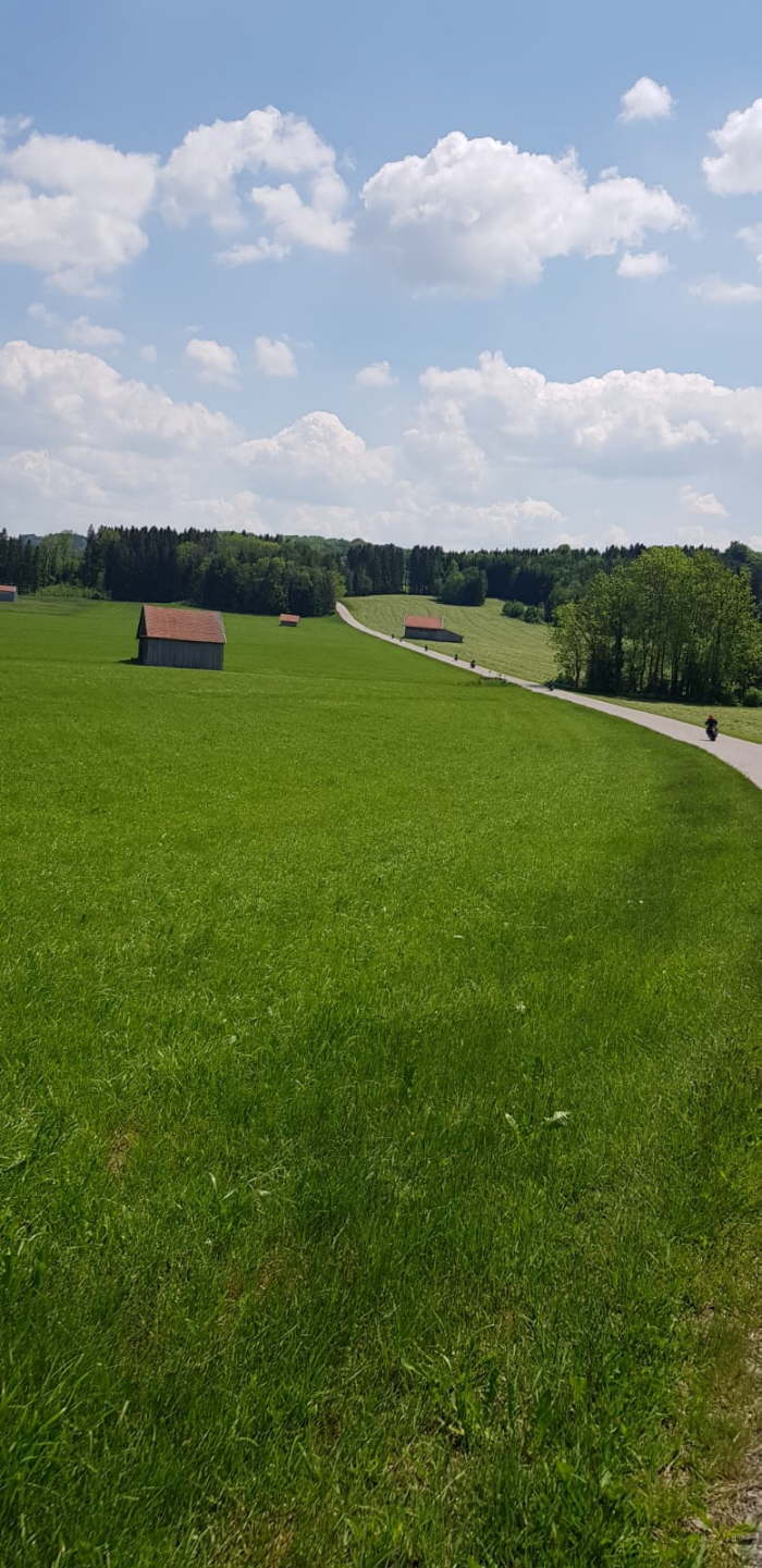 e62963cc-300b-4f38-9d97-845c18b0c066