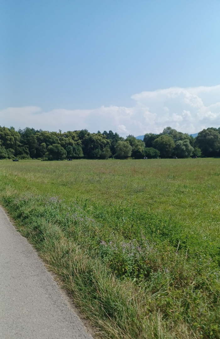 f375ec59-85f4-4761-8bf3-d690cd7ea285